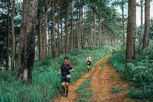 BIB: 
                            <button type="button" onclick="openModal(25741393)" class="btn btn-primary btn-sm float-right btn-popup" data-toggle="modal" data-target=".modal-high-quality">
                        <i class="fas fa-shopping-cart"></i> Add to Cart
                    </button>
                                            <button type="button" onclick="isThisMe(25741393, true)" class="btn btn-success btn-sm float-right btn-popup btn-isme hidden" data-toggle="tooltip" data-placement="bottom" title="นี่คือรูปของคุณใช่ไหม คลิกที่นี่เพื่อเอาเข้าอัลบั้ม">
                        <i class="fas fa-plus"></i> Add to album
                    </button>
                    <button type="button" onclick="isThisMe(25741393, false)" class="btn btn-warning btn-sm float-right btn-popup btn-isnotme hidden">
                        <i class="fas fa-ban"></i> Remove from album
                    </button>